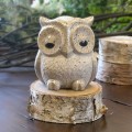 Rustic Granite Owl 