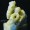 Jade Emperor Dragon Carved Chop, Double Happiness Character